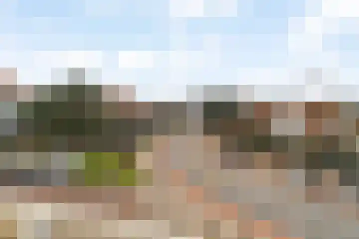 Oude Zeeweg 78 D Noordwijk thumbnail 9