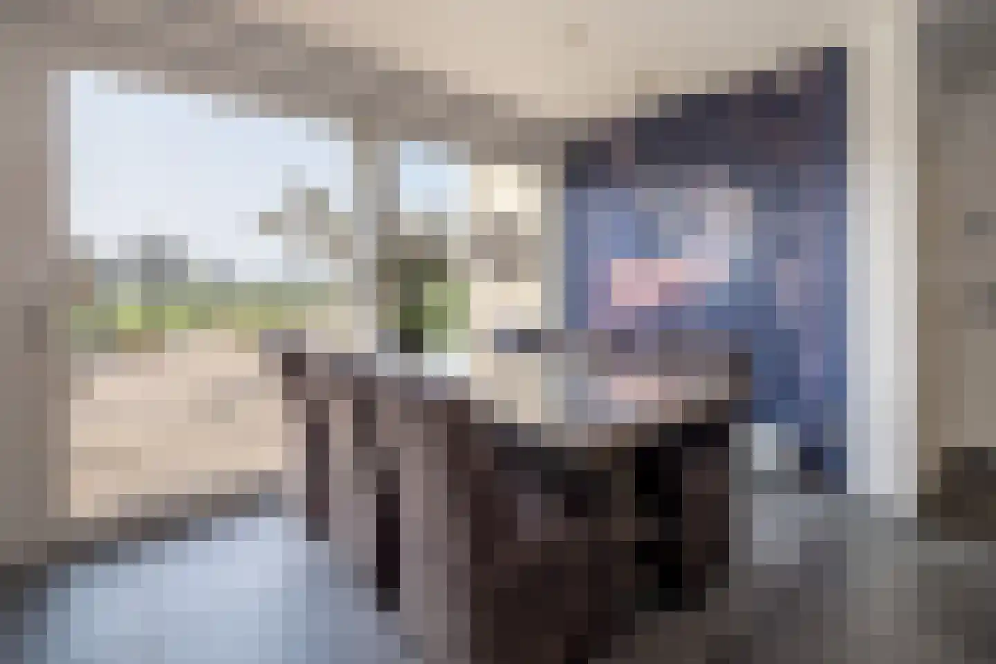 Oude Zeumerseweg 8 Voorthuizen thumbnail 10
