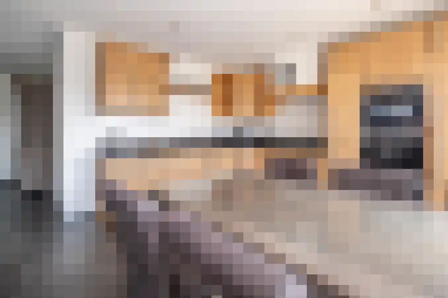 Oude Zeumerseweg 8 Voorthuizen thumbnail 10