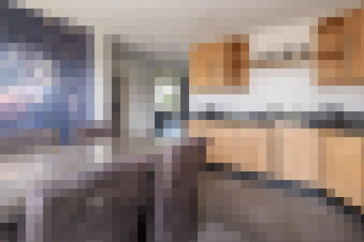 Oude Zeumerseweg 8 Voorthuizen thumbnail 11