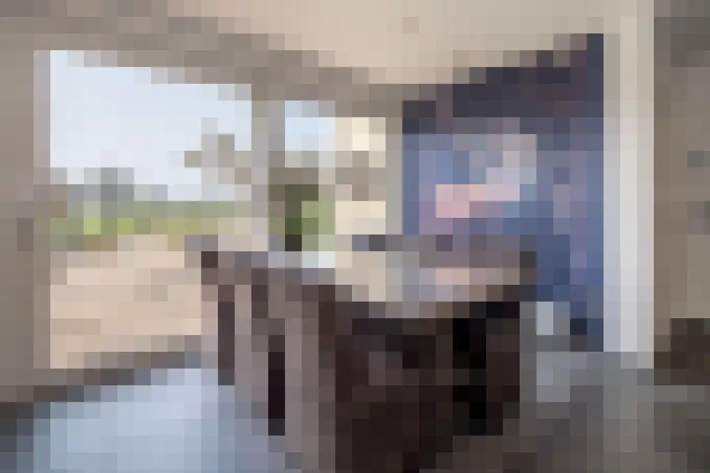Oude Zeumerseweg 8 Voorthuizen thumbnail 12