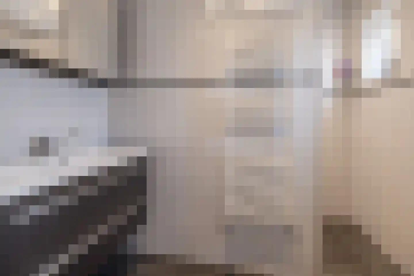 Oude Zeumerseweg 8 Voorthuizen thumbnail 17