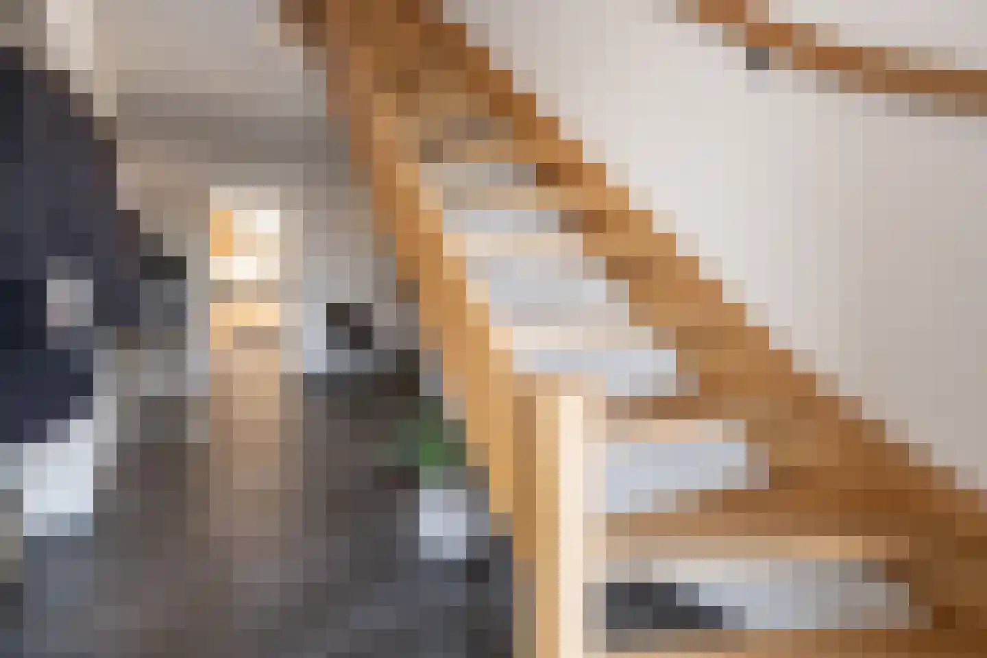 Oude Zeumerseweg 8 Voorthuizen thumbnail 22
