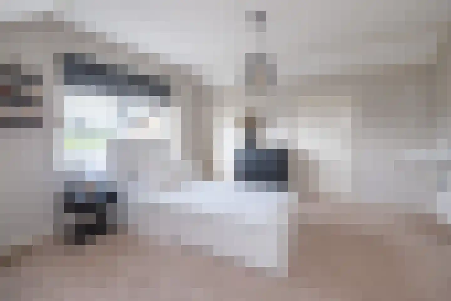 Oude Zeumerseweg 8 Voorthuizen thumbnail 23