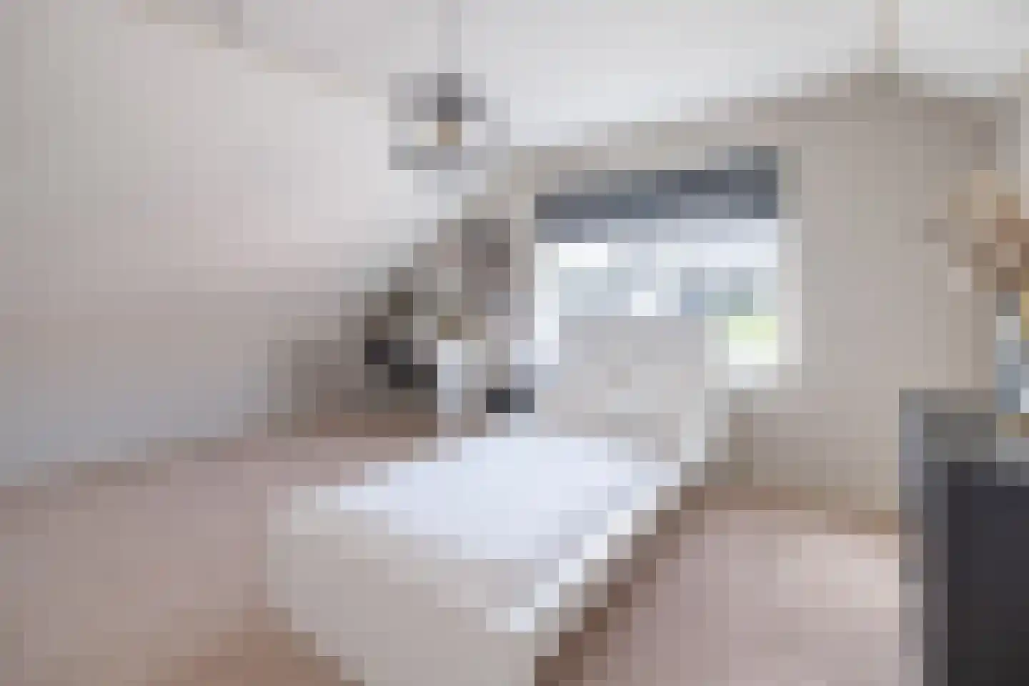 Oude Zeumerseweg 8 Voorthuizen thumbnail 24