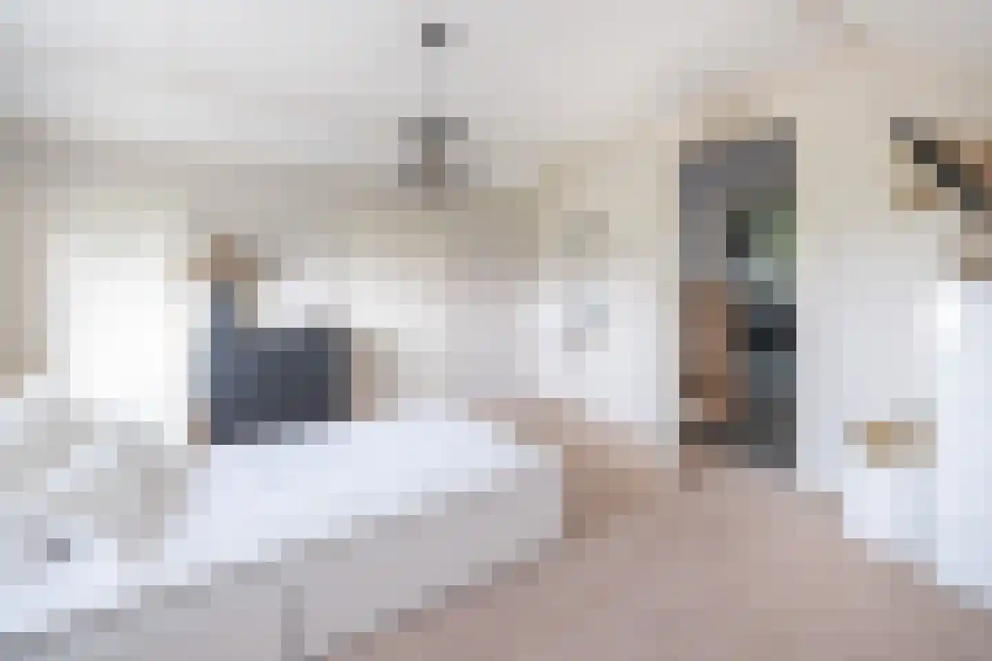 Oude Zeumerseweg 8 Voorthuizen thumbnail 25