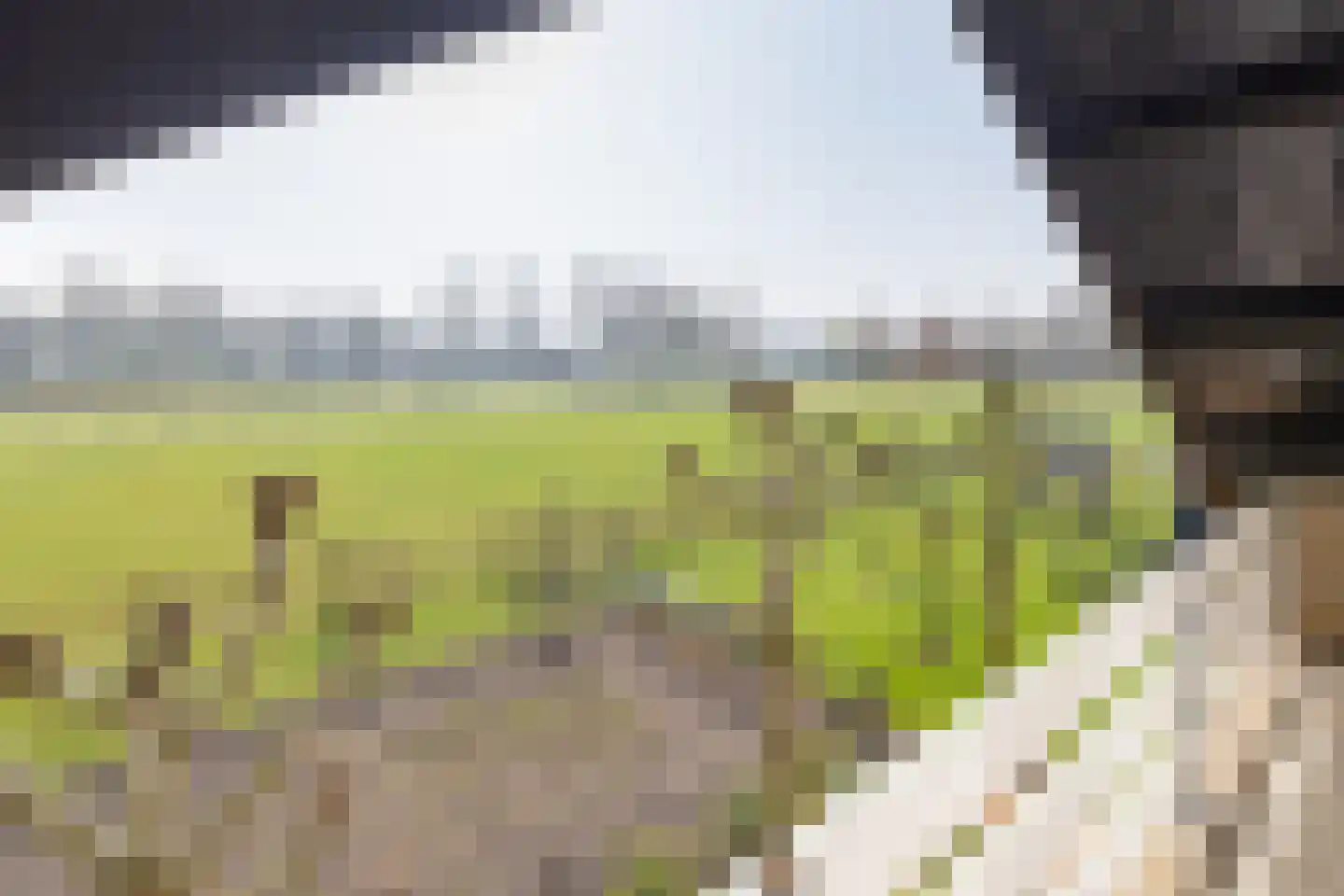 Oude Zeumerseweg 8 Voorthuizen thumbnail 30