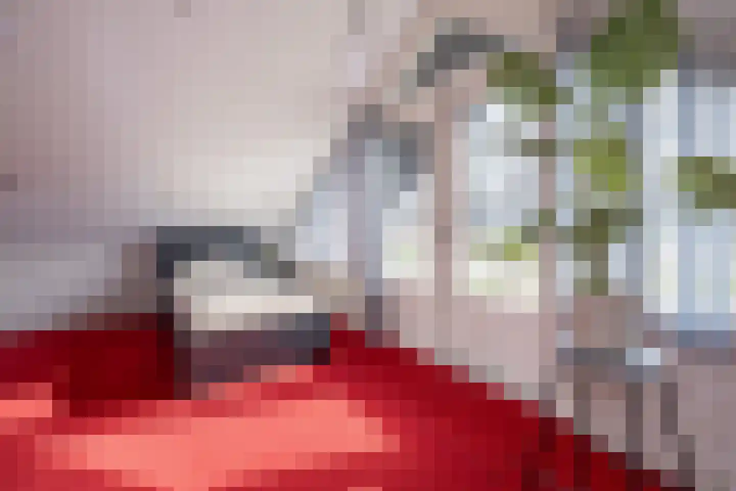 Oude Zeumerseweg 8 Voorthuizen thumbnail 30