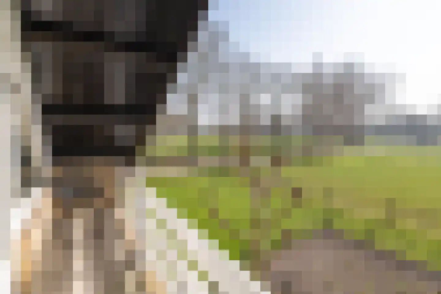 Oude Zeumerseweg 8 Voorthuizen thumbnail 31