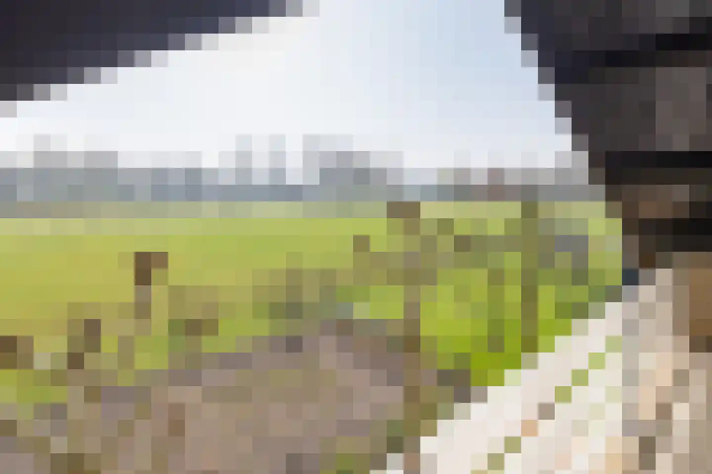 Oude Zeumerseweg 8 Voorthuizen thumbnail 32