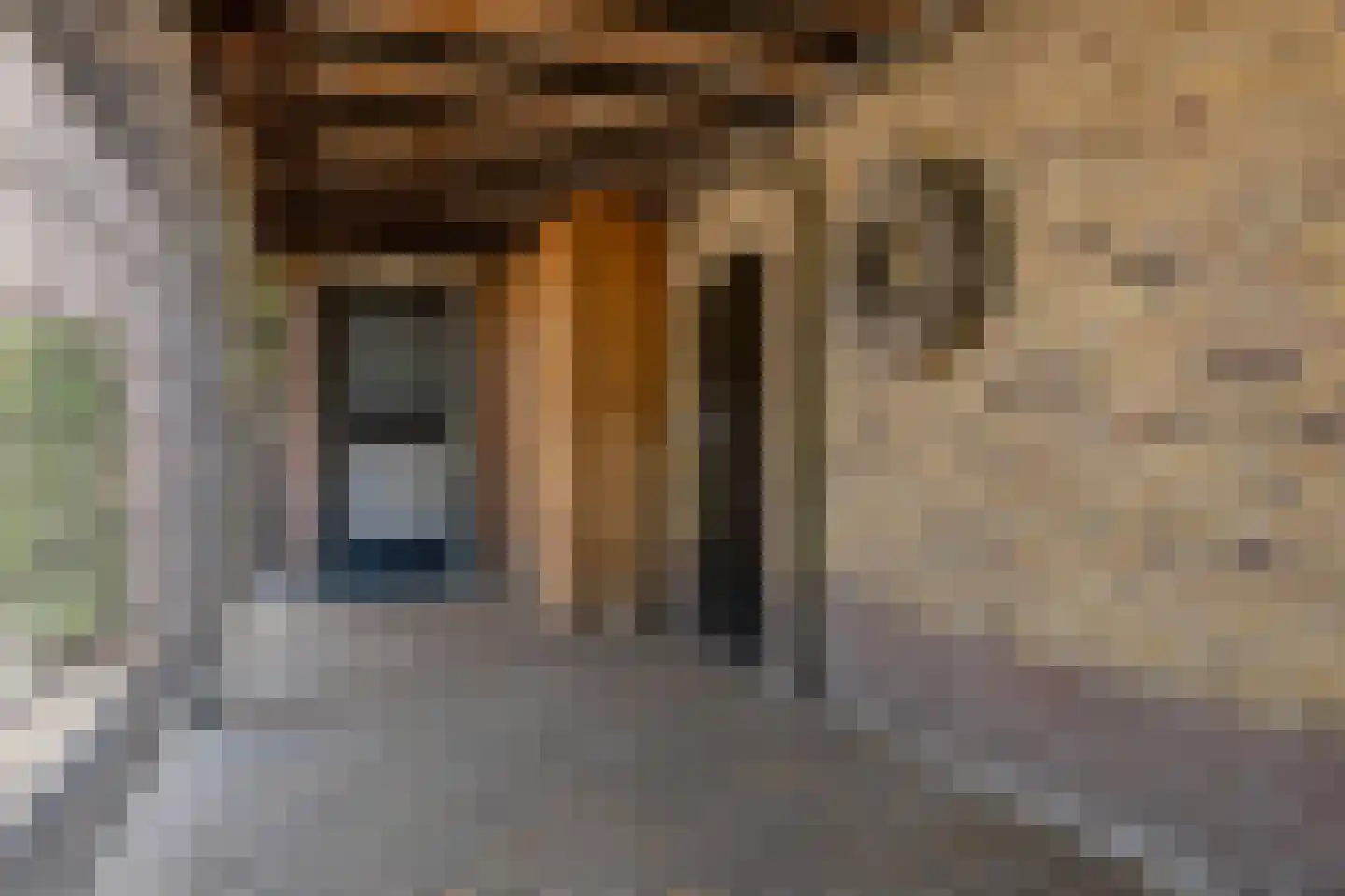 Oude Zeumerseweg 8 Voorthuizen thumbnail 36
