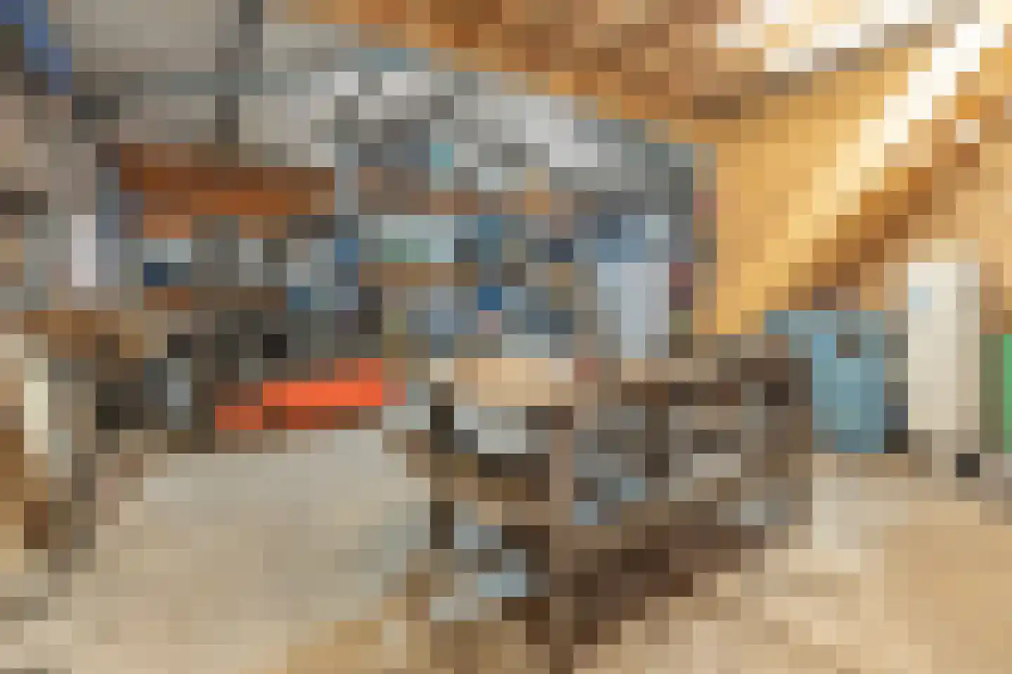 Oude Zeumerseweg 8 Voorthuizen thumbnail 39