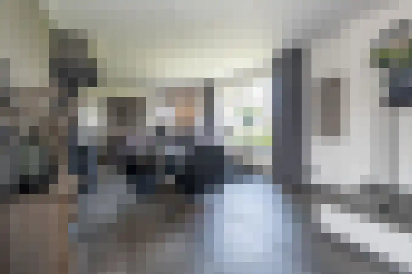 Oude Zeumerseweg 8 Voorthuizen thumbnail 4