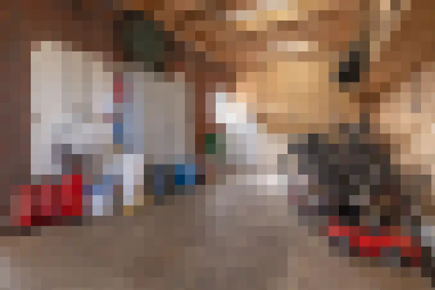 Oude Zeumerseweg 8 Voorthuizen thumbnail 43