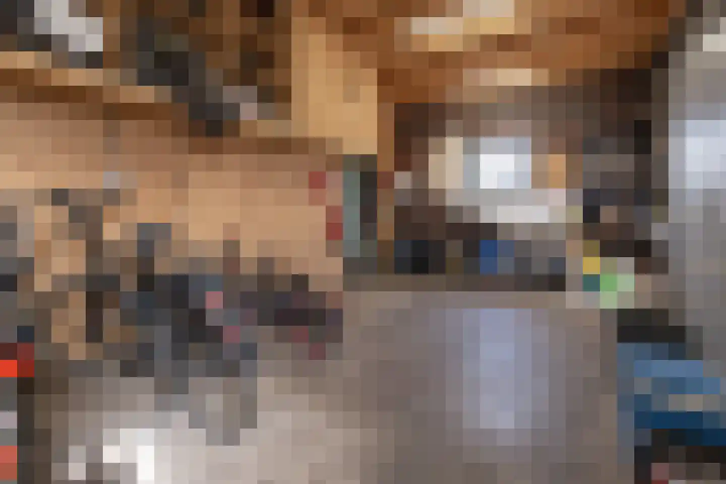 Oude Zeumerseweg 8 Voorthuizen thumbnail 44