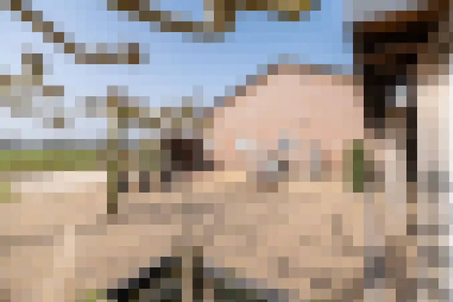 Oude Zeumerseweg 8 Voorthuizen thumbnail 47