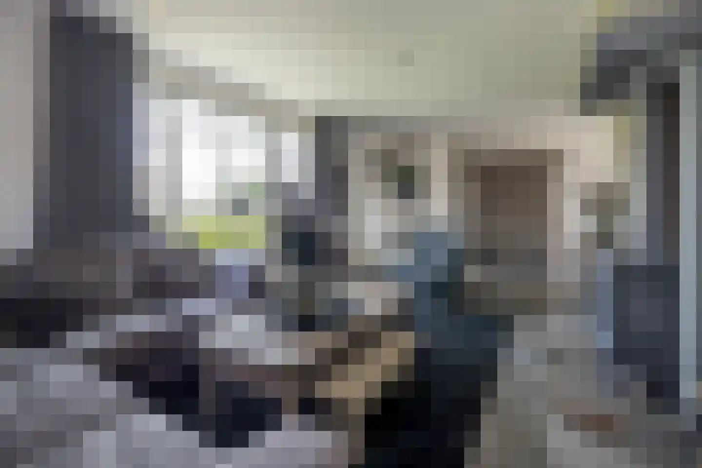 Oude Zeumerseweg 8 Voorthuizen thumbnail 5