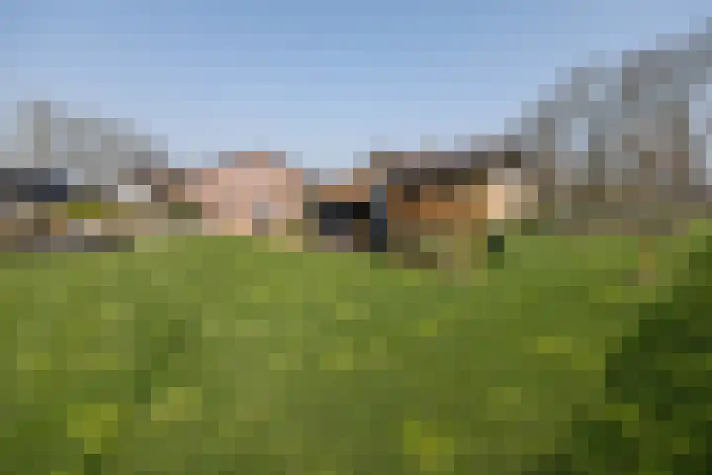 Oude Zeumerseweg 8 Voorthuizen thumbnail 51