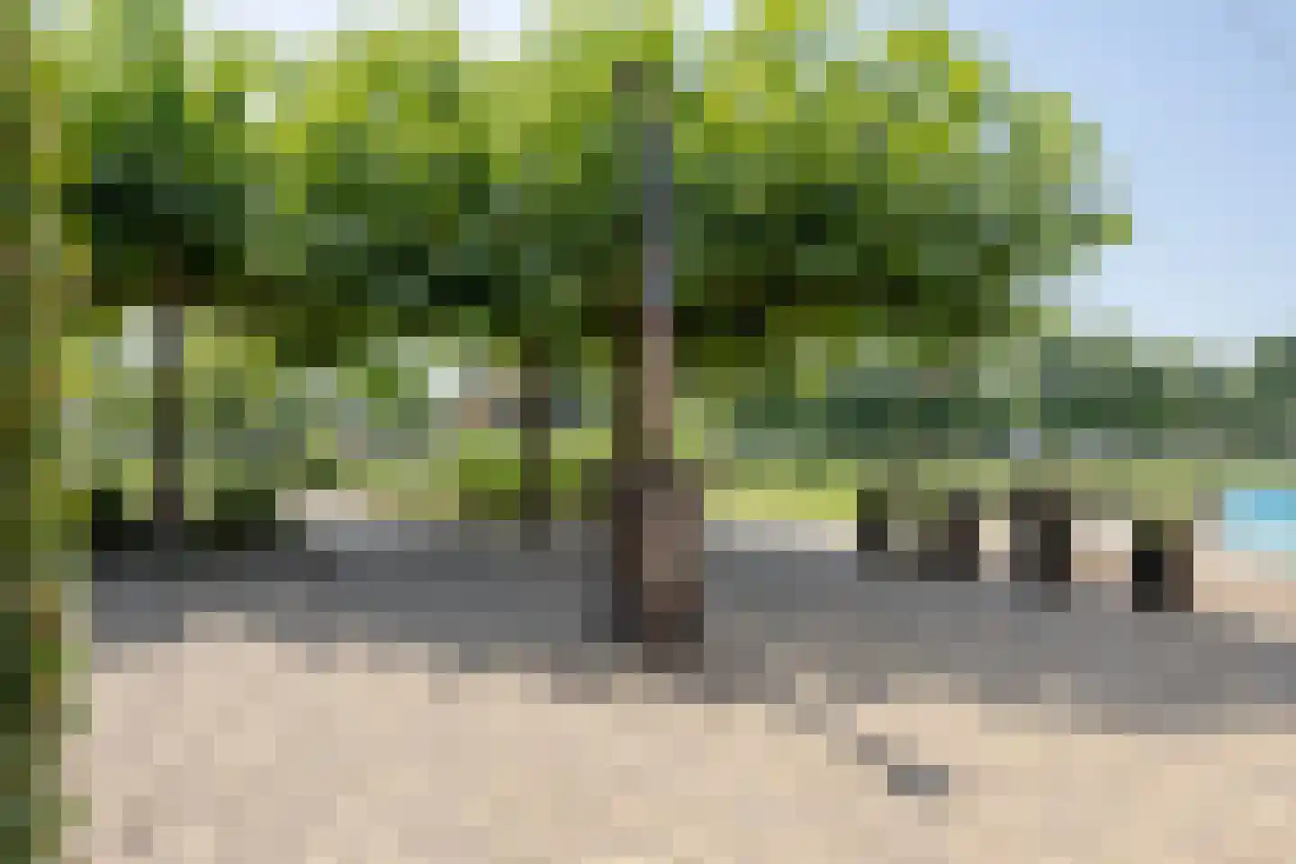 Oude Zeumerseweg 8 Voorthuizen thumbnail 52