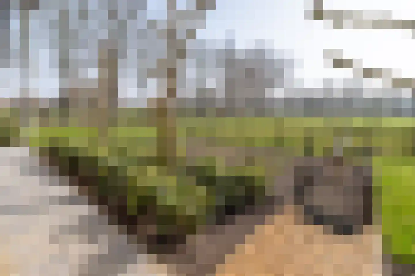 Oude Zeumerseweg 8 Voorthuizen thumbnail 55
