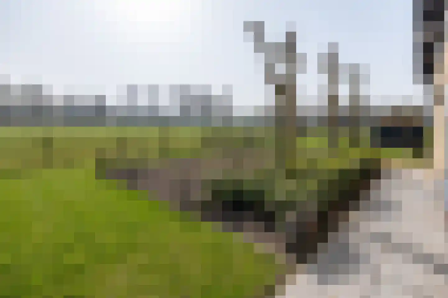 Oude Zeumerseweg 8 Voorthuizen thumbnail 56