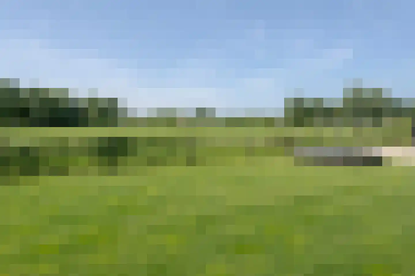 Oude Zeumerseweg 8 Voorthuizen thumbnail 56