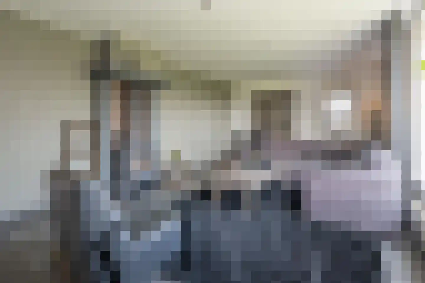 Oude Zeumerseweg 8 Voorthuizen thumbnail 6