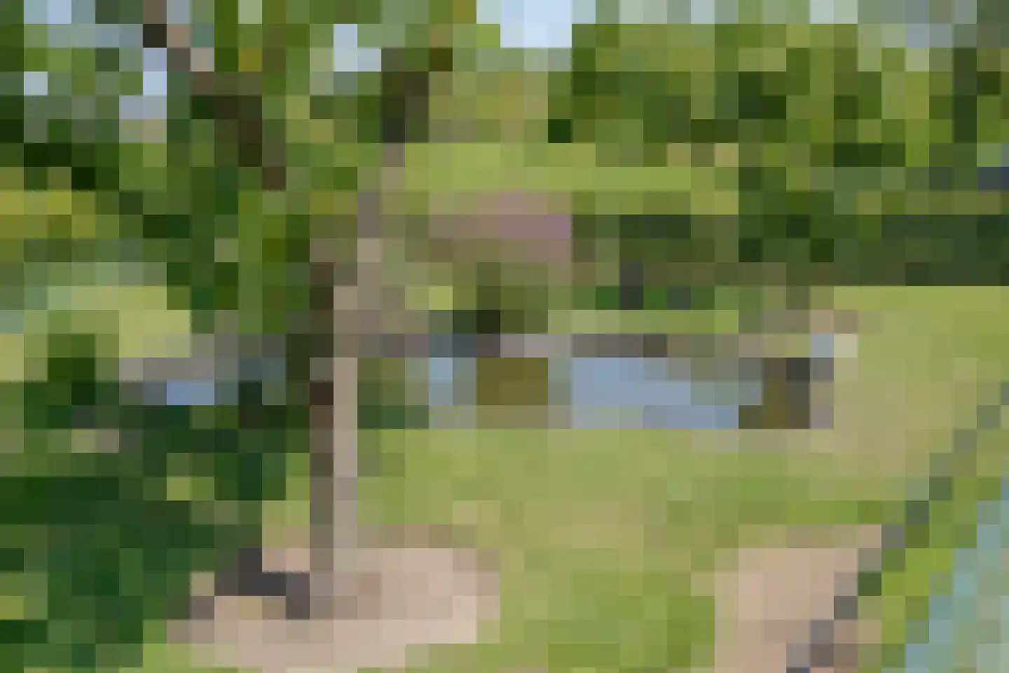 Oude Zeumerseweg 8 Voorthuizen thumbnail 64