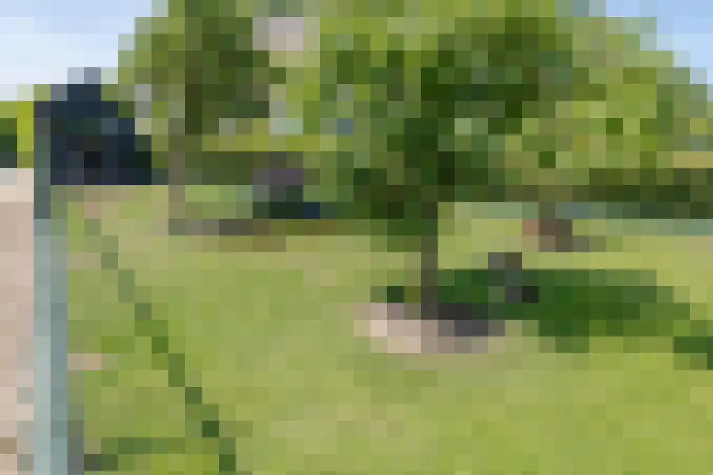 Oude Zeumerseweg 8 Voorthuizen thumbnail 65