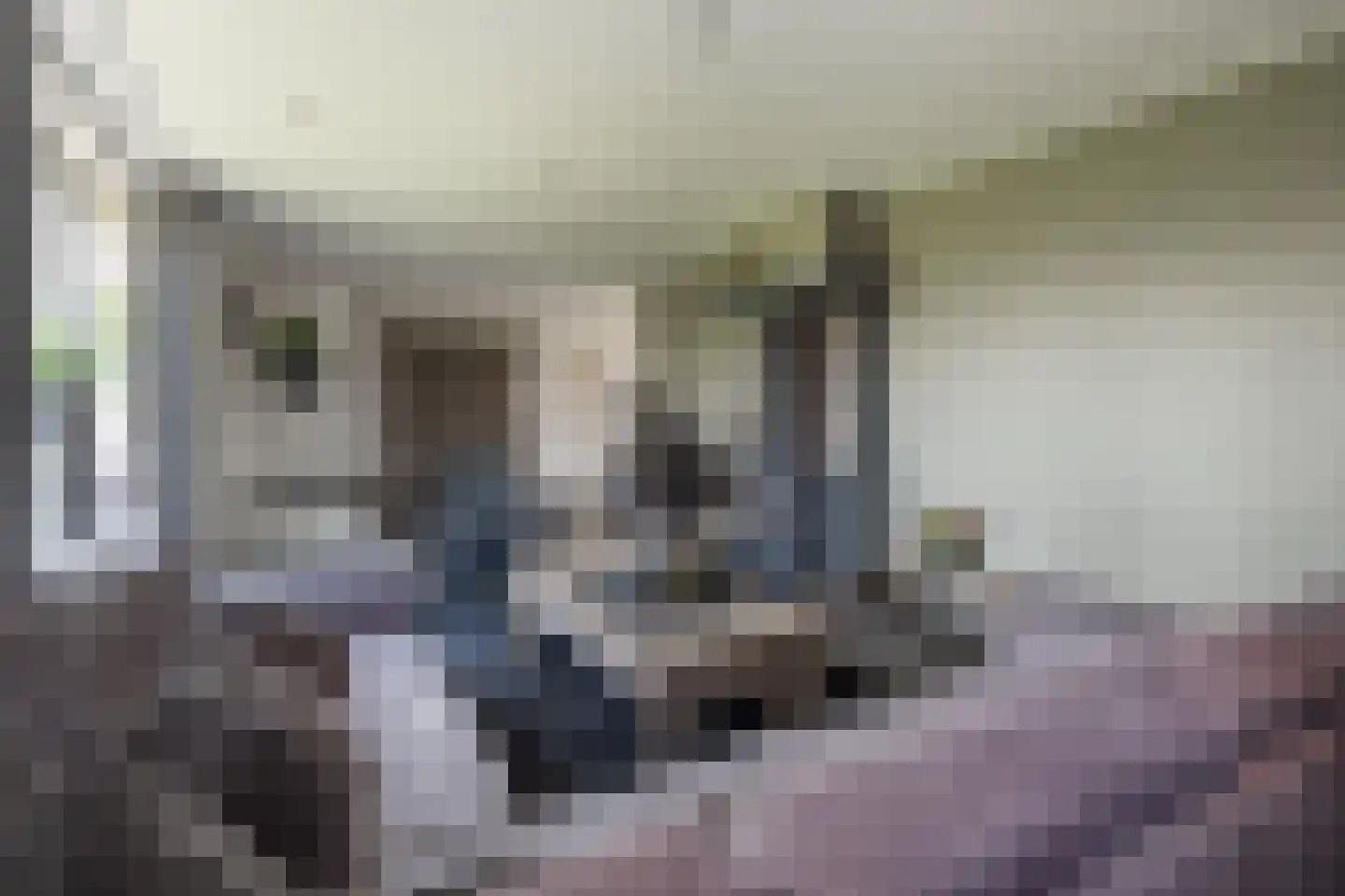 Oude Zeumerseweg 8 Voorthuizen thumbnail 7