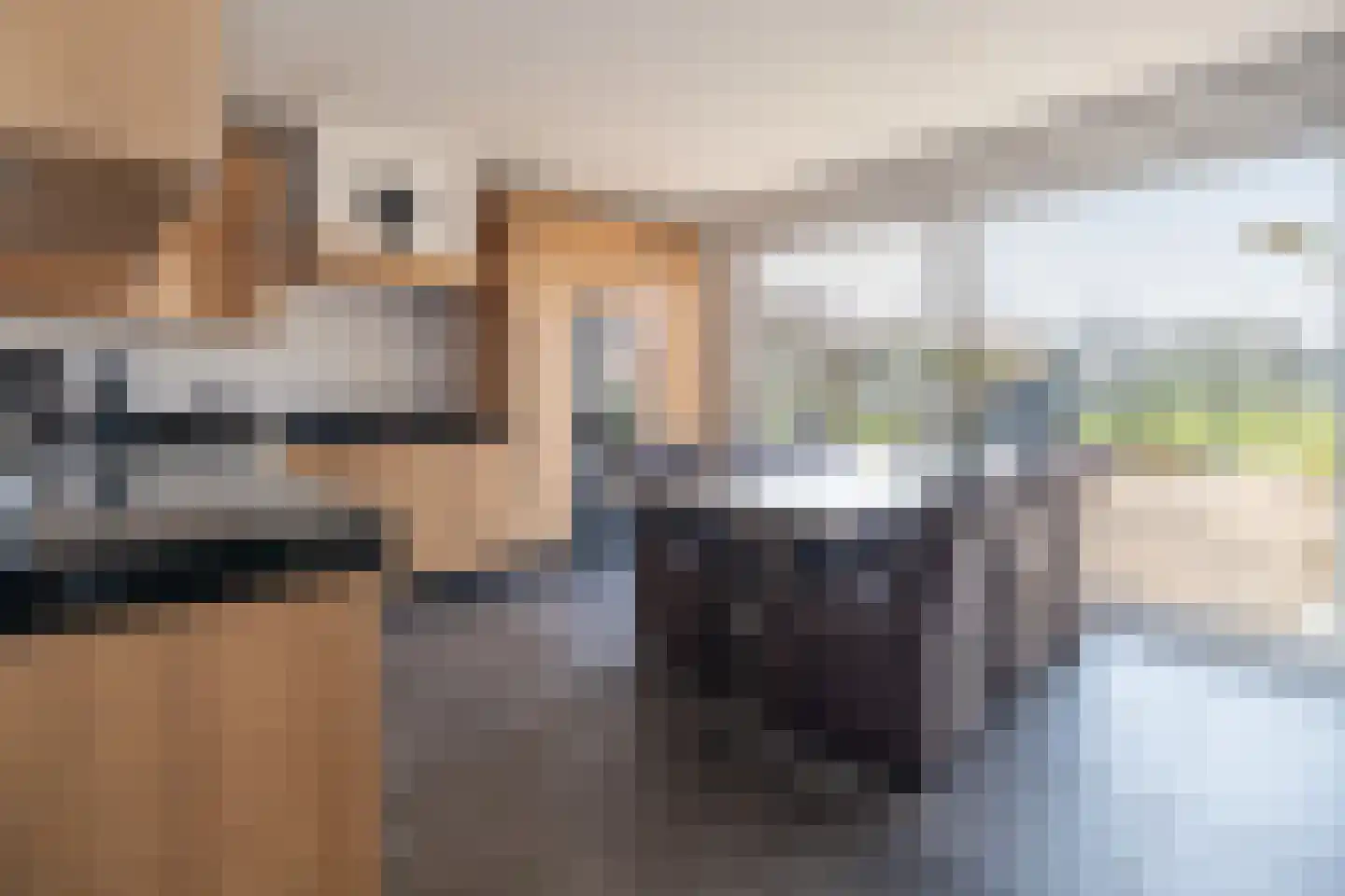 Oude Zeumerseweg 8 Voorthuizen thumbnail 9