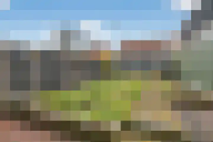 Oude Zijds Burgwal 32 Monnickendam thumbnail 25