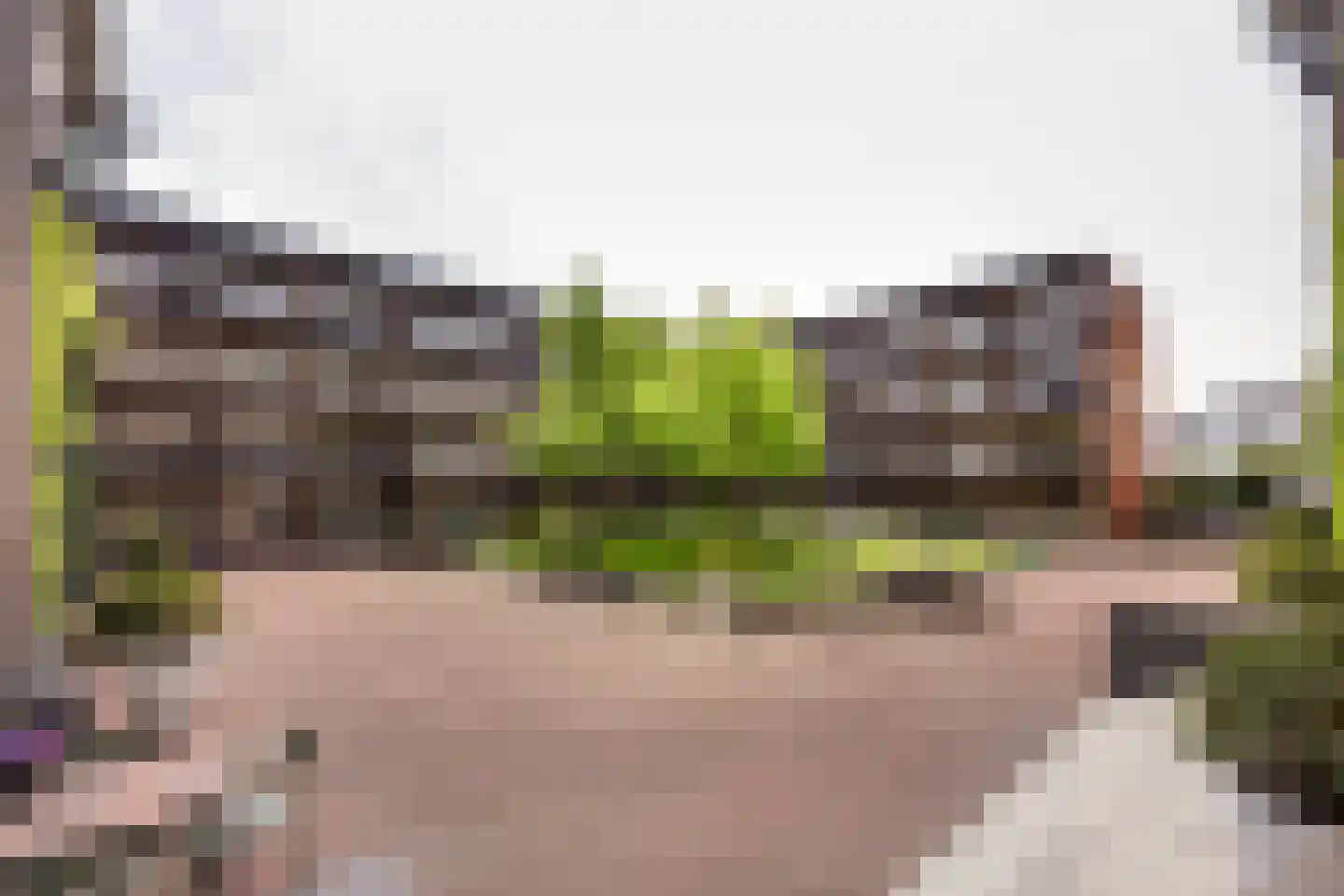 Oude Zijlvest 15 A Haarlem thumbnail 22