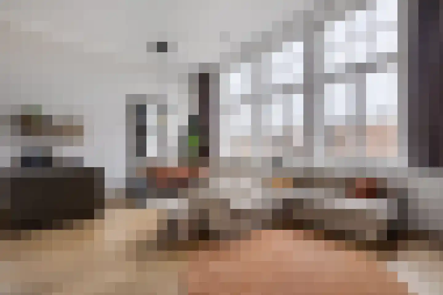 Oude Zijlvest 15 A Haarlem thumbnail 5