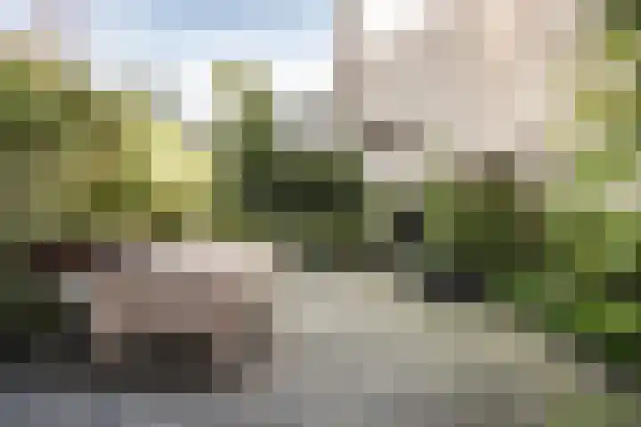 Oude Zijlvest 33 Haarlem thumbnail 11