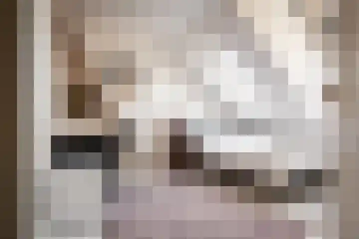 Oude Zijlvest 33 Haarlem thumbnail 26