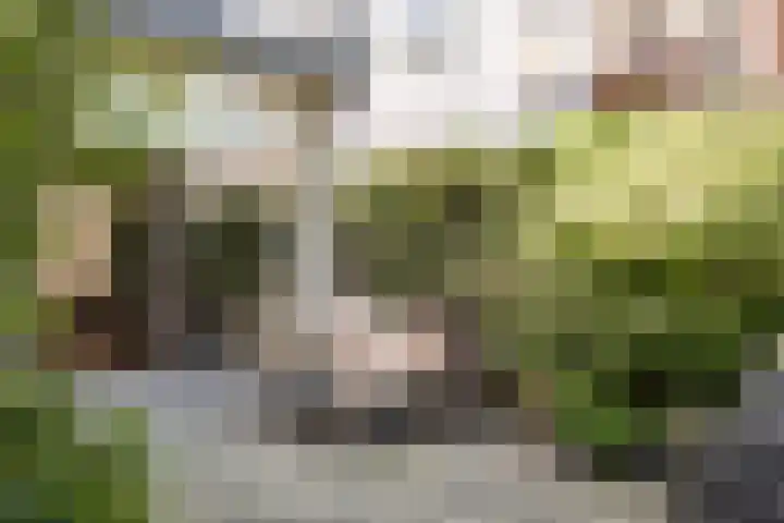 Oude Zijlvest 33 Haarlem thumbnail 4