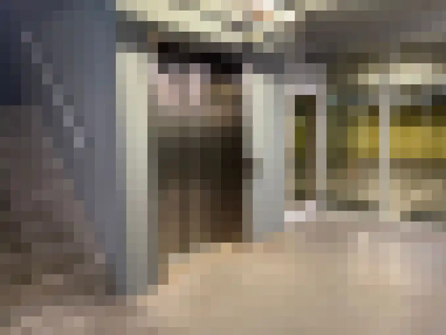Oude Zijlvest 33 Haarlem thumbnail 7