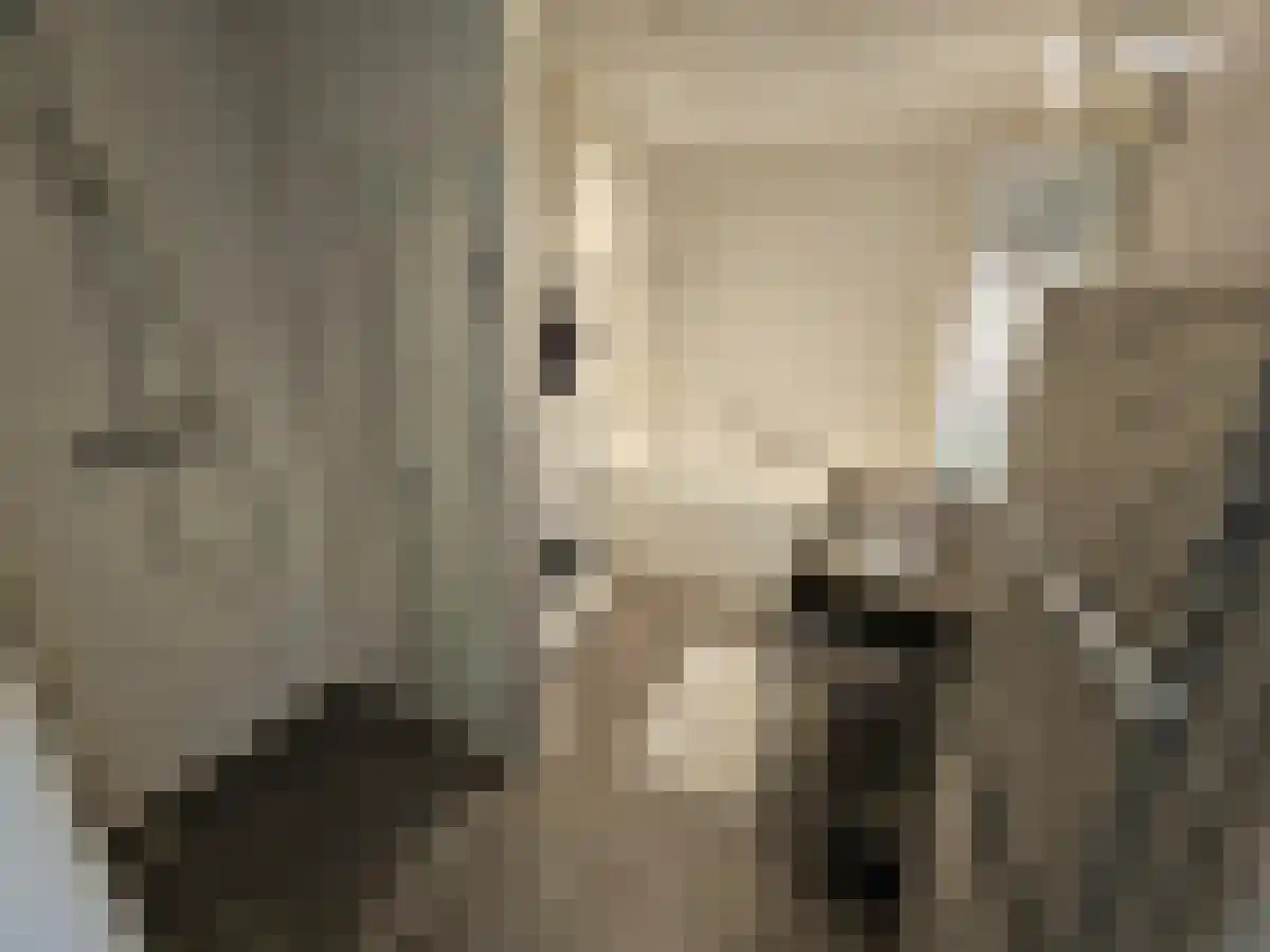 Oude Zijlvest 5 Haarlem thumbnail 6