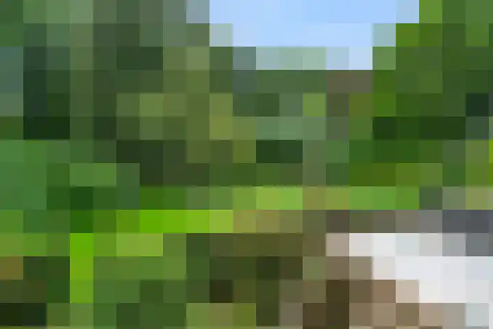 Oude Zoomweg 15 Wageningen thumbnail 10