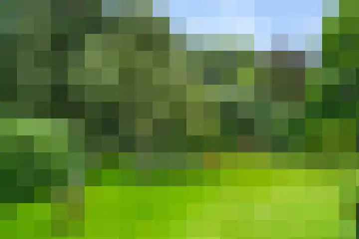 Oude Zoomweg 15 Wageningen thumbnail 11
