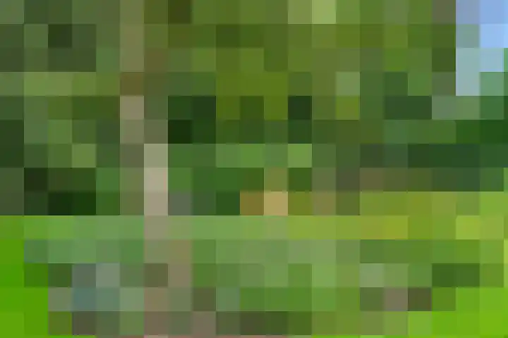 Oude Zoomweg 15 Wageningen thumbnail 12