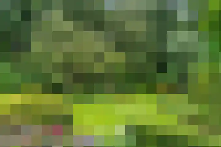 Oude Zoomweg 15 Wageningen thumbnail 13