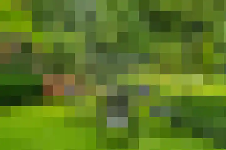 Oude Zoomweg 15 Wageningen thumbnail 14