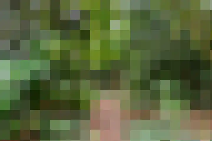 Oude Zoomweg 15 Wageningen thumbnail 15