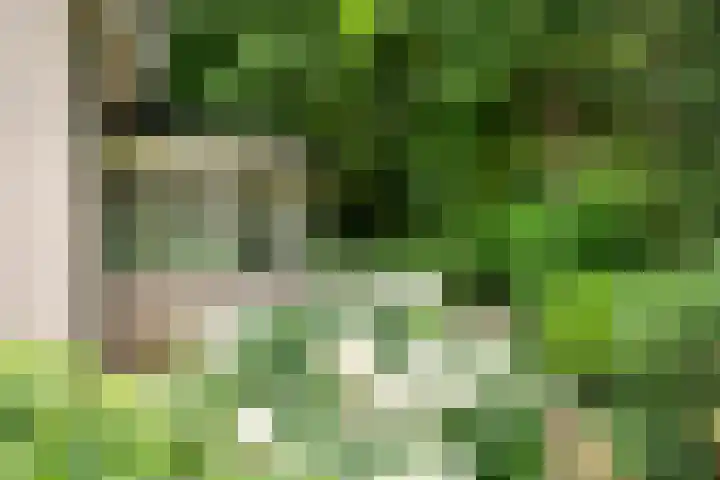 Oude Zoomweg 15 Wageningen thumbnail 17