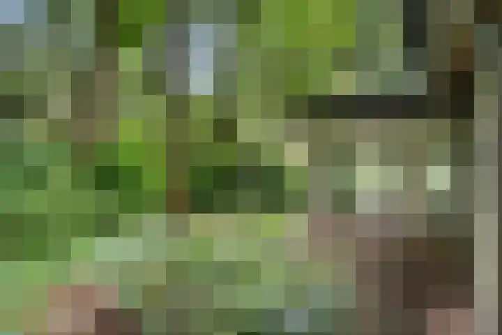 Oude Zoomweg 15 Wageningen thumbnail 18