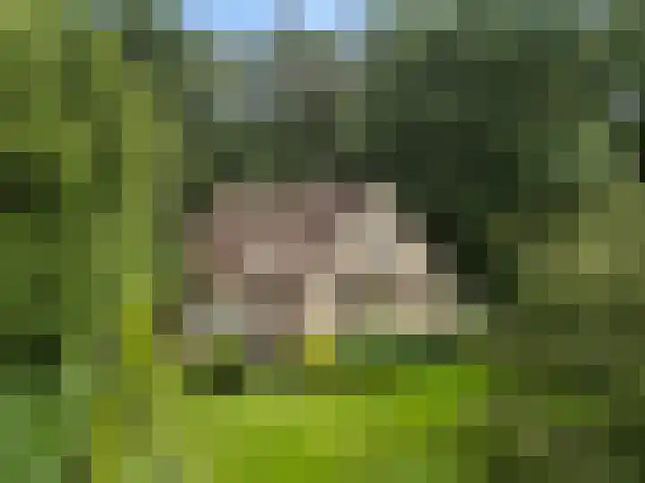Oude Zoomweg 15 Wageningen thumbnail 21