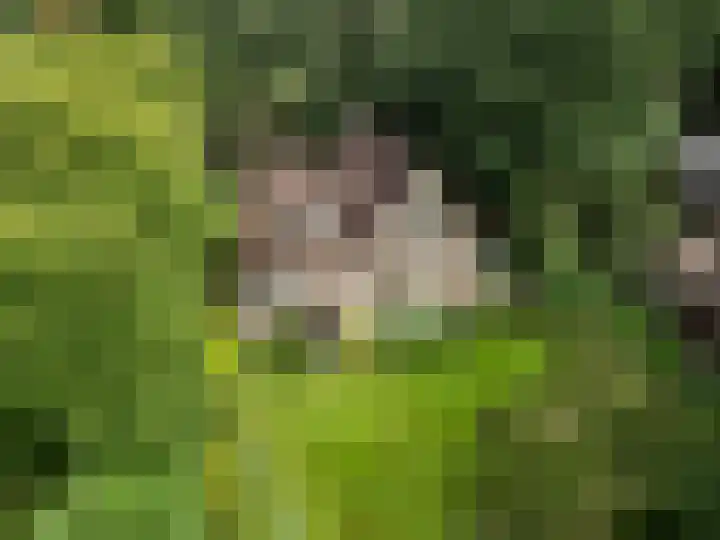 Oude Zoomweg 15 Wageningen thumbnail 22