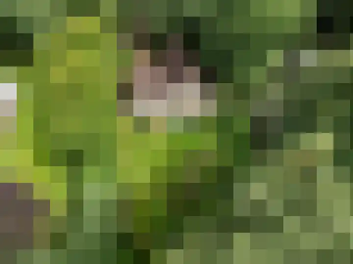 Oude Zoomweg 15 Wageningen thumbnail 23